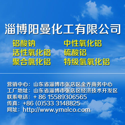 山東鋁酸鈉技術(shù)優(yōu)勢(shì)與廠價(jià)直銷服務(wù)