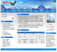 專業(yè)鑄就卓越 上海網(wǎng)站建設(shè)公司成功案例與信息技術(shù)咨詢價值